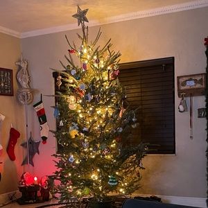 Meet your Posher, Tony